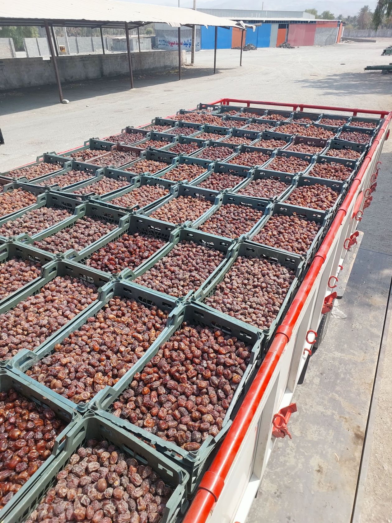 صادرات محصولات کشاورزی و باغداری